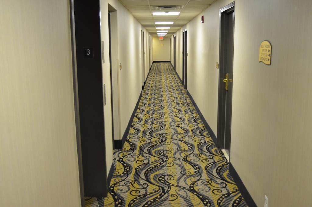 Comfort Inn Downtown Detroit Dış mekan fotoğraf