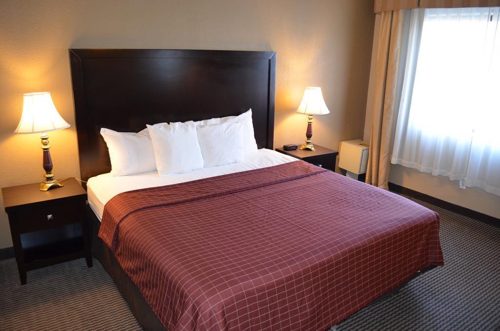 Comfort Inn Downtown Detroit Dış mekan fotoğraf