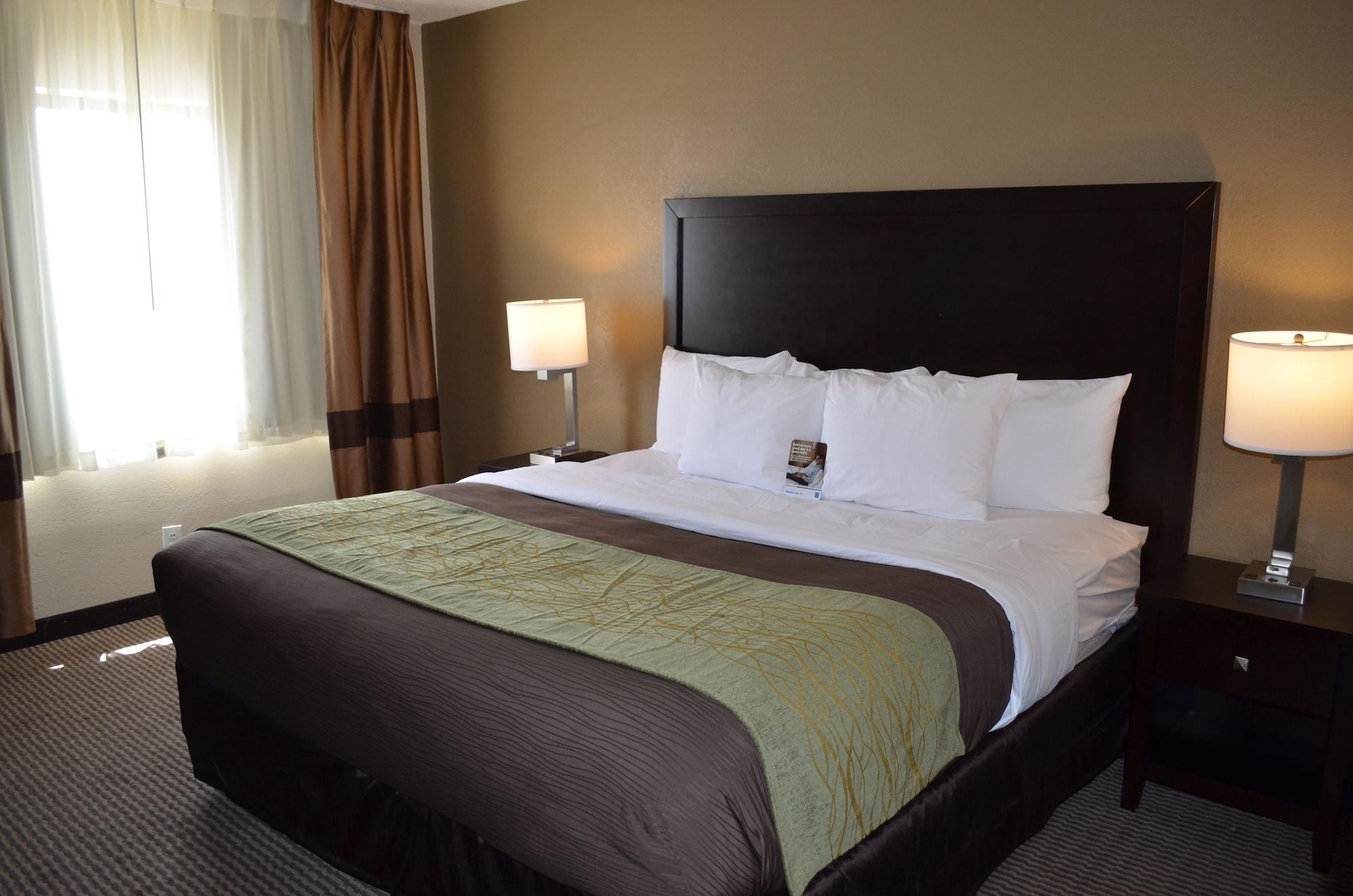Comfort Inn Downtown Detroit Dış mekan fotoğraf