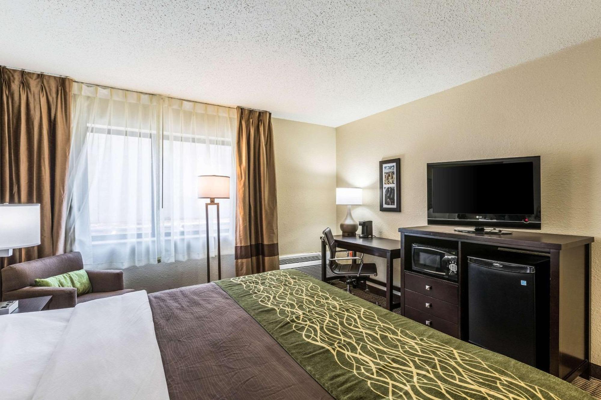 Comfort Inn Downtown Detroit Dış mekan fotoğraf