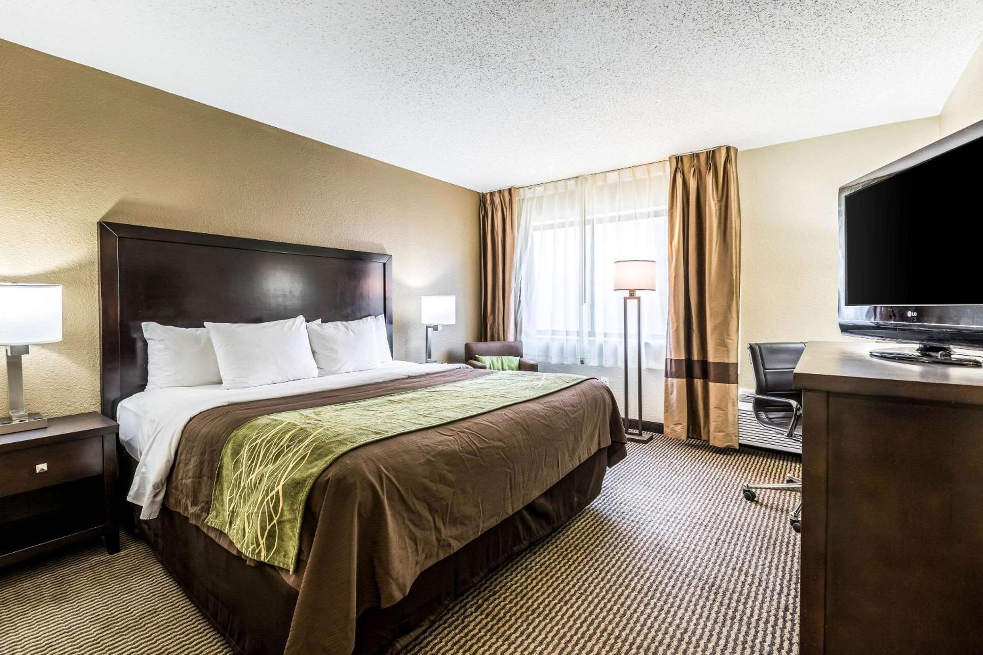Comfort Inn Downtown Detroit Dış mekan fotoğraf