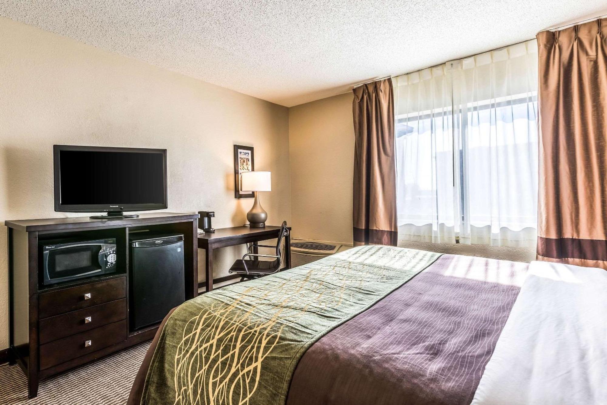 Comfort Inn Downtown Detroit Dış mekan fotoğraf